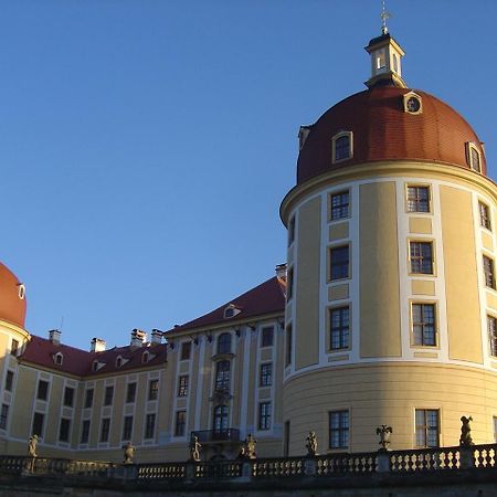 Fewo Dd- Wilschdorf Dresden Exterior foto